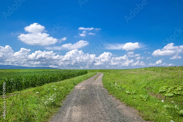 Fototapeta 北海道の雄大な風景