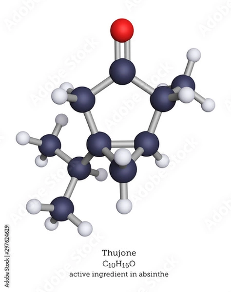 Fototapeta Molecular model of thujone, found in absinthe