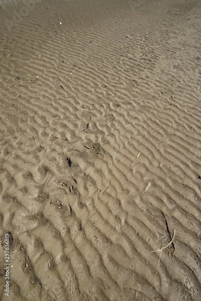 Obraz Mud overflowing from typhoon damage