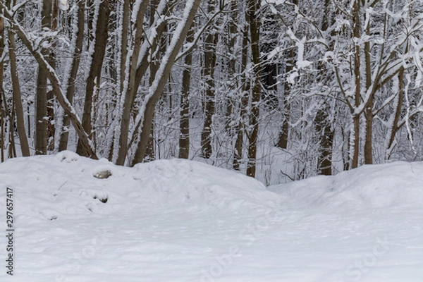 Fototapeta winter landscape