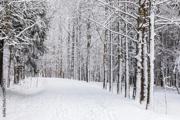 Fototapeta winter landscape