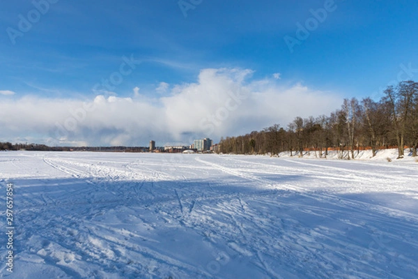 Fototapeta winter landscape