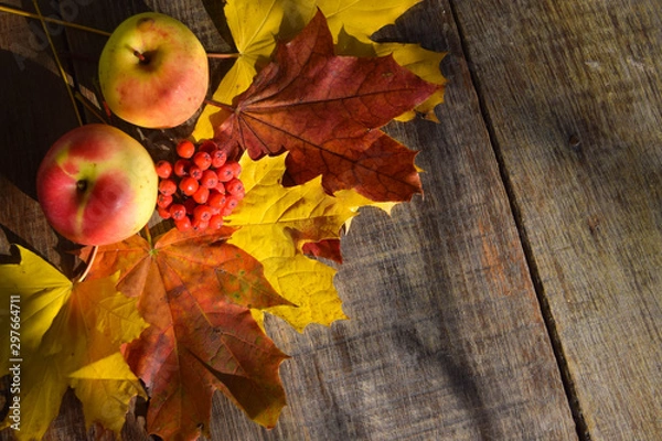 Fototapeta Apples, rowan and autumn maple leaves on an old grunge wood background.Red, yellow and orange colors. Autumn concept.