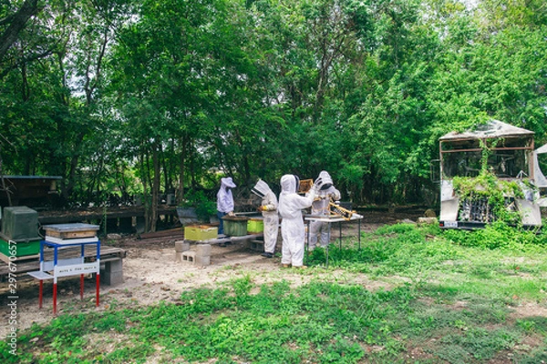 Fototapeta beekeepers