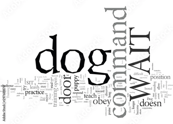 Fototapeta Dog Obedience A Quick and Easy Way To Train Your Dog to Obey The WAIT Command