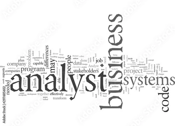 Fototapeta difference between systems analyst and business analyst