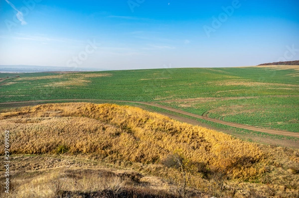 Fototapeta Sown field in autumn day