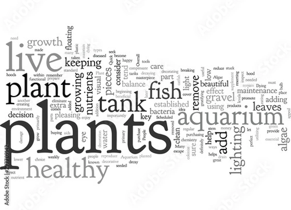 Fototapeta aquarium plant care