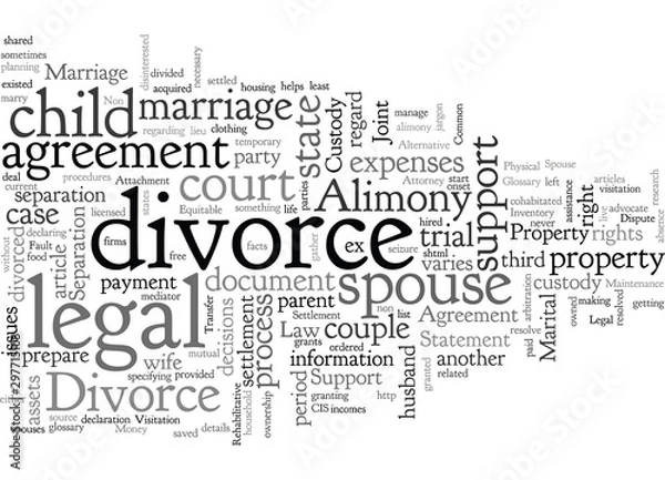 Obraz A Divorce Glossary