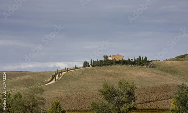 Fototapeta colline pisane - panorama