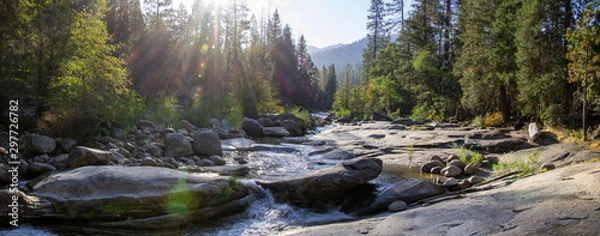 Obraz Yosemite Fall 2019