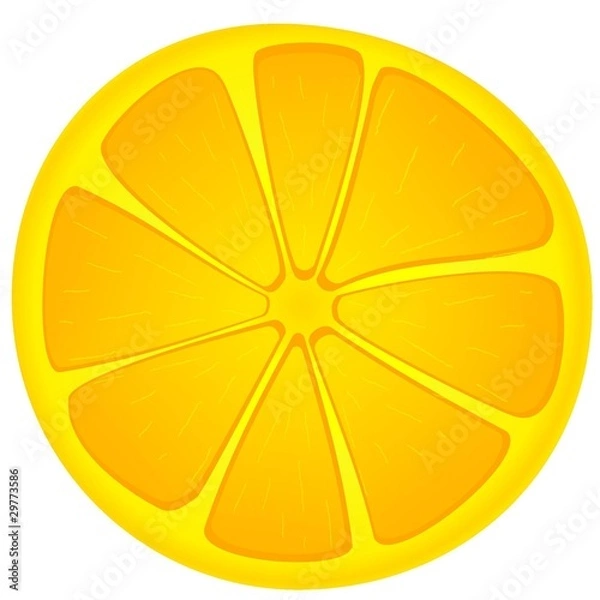 Fototapeta vector image slices of orange