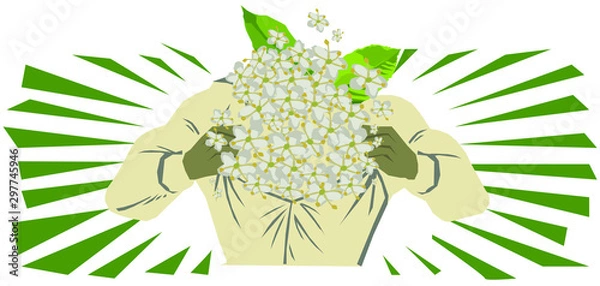 Obraz Super-elderflower