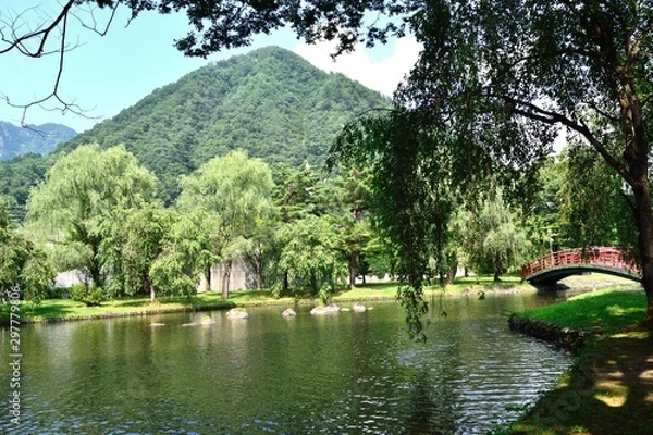 Obraz 新潟県 湯沢中央公園 池
