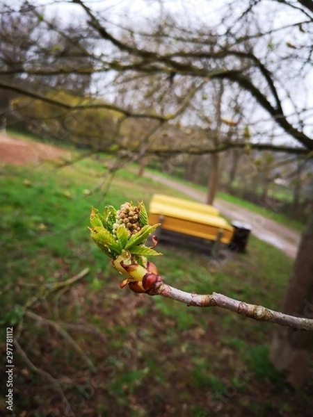 Fototapeta smacap_Bright