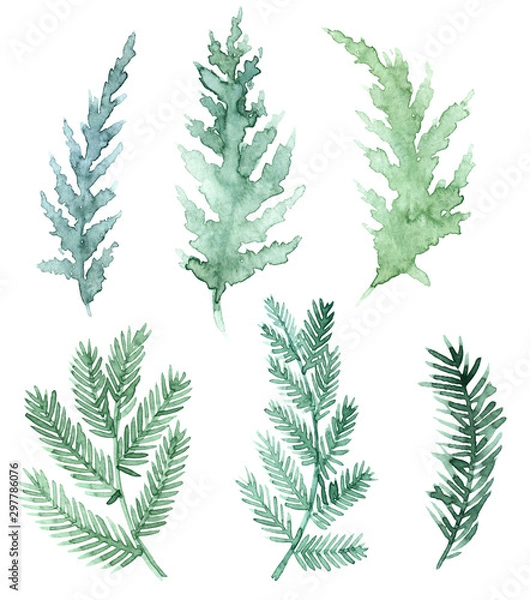 Fototapeta Watercolor Christmas trees. Hand painted vintage set with branches and leaves isolated on white background. Traditional evergreen elements for Christmas wreath.