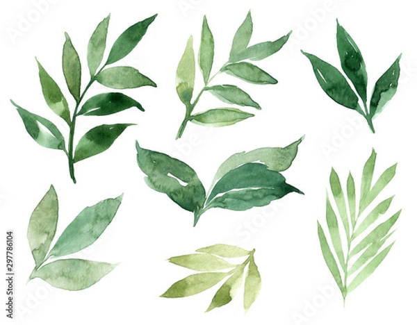 Fototapeta Hand drawn watercolor illustration of abstract green branch. Elements for design of invitations, movie posters, fabrics and other objects, isolated on white background