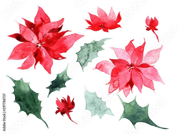 Fototapeta Watercolor Christmas trees, holly and poinsettia. Hand painted vintage set with branches, berries and leaves isolated on white background. Traditional evergreen elements for Christmas wreath.