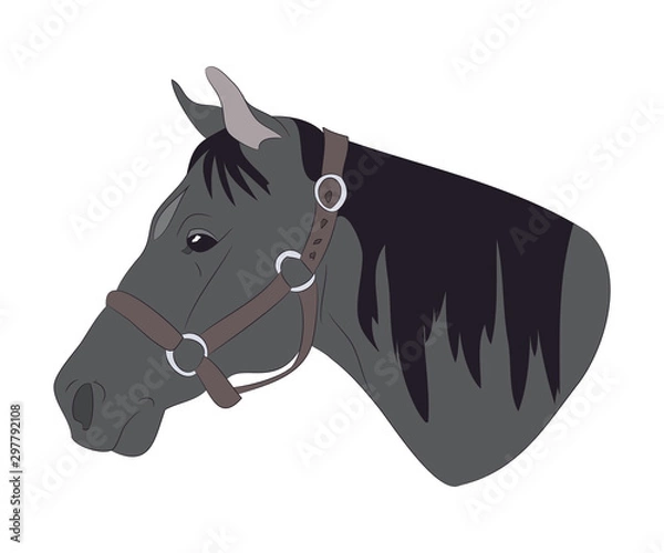 Obraz horse portrait vector illustration, color illustration