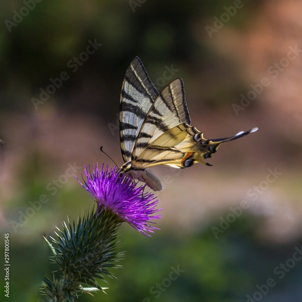 Obraz a magnificent daytime trip through the Kalambaka mountains to the Meteora monastery complex with beautiful views from different points and rocks. Thessaly, Greece