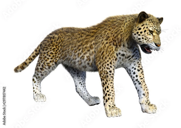 Obraz 3D Rendering Big Cat Leopard on White