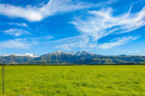 Fototapeta New Zealand summer landscape with mountain range Green Field and Blue Sky, South Island, New Zealand