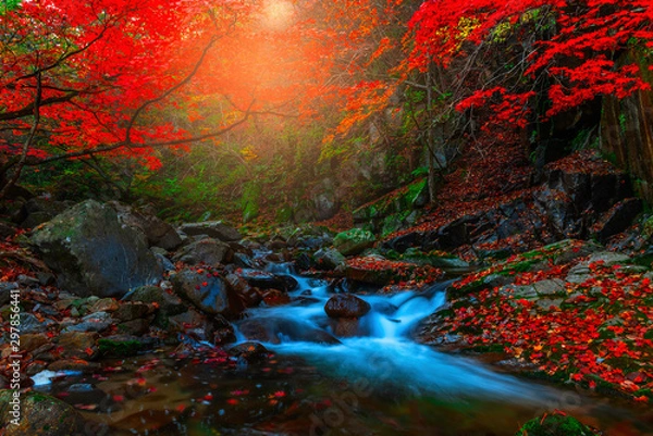 Obraz Autumn leaves and waterfalls at Baekryeong South Korea National Park