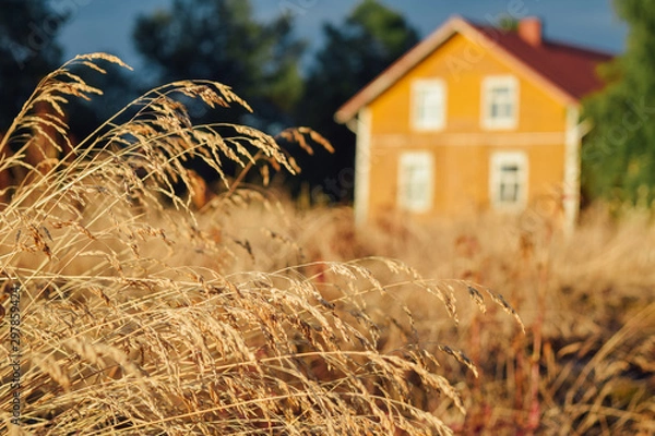 Fototapeta Beautiful finnish yellow farm house at blurred background warm summer evening at field with dry grass