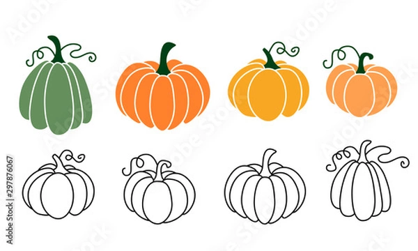 Fototapeta Zestaw dyni, obrysowanych na czarno i kolorowych. Wektor zbiory ładny ręcznie rysowane dynie na białym tle. Elementy na jesień dekoracyjny projekt, zaproszenie na halloween, święto dziękczynienia zbiorów.