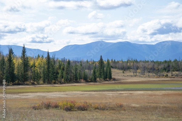 Obraz Autumn Colour Spectrum