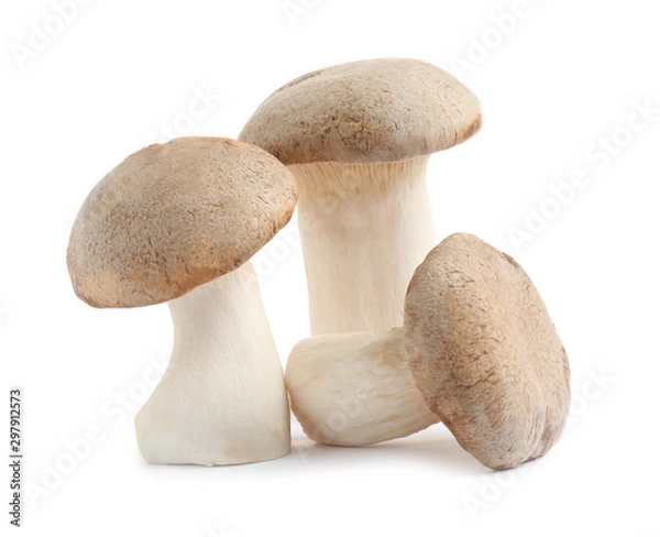 Fototapeta Fresh wild mushrooms on white background. Edible fungi