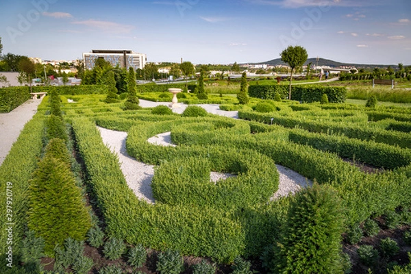 Fototapeta Ogród Botaniczny