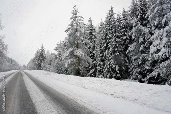 Fototapeta Beautiful winter landscape with snow-covered trees and road in Latvia.
