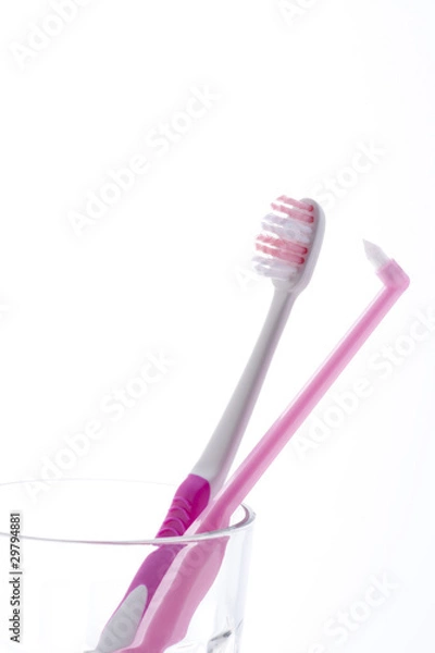 Fototapeta 歯ブラシ