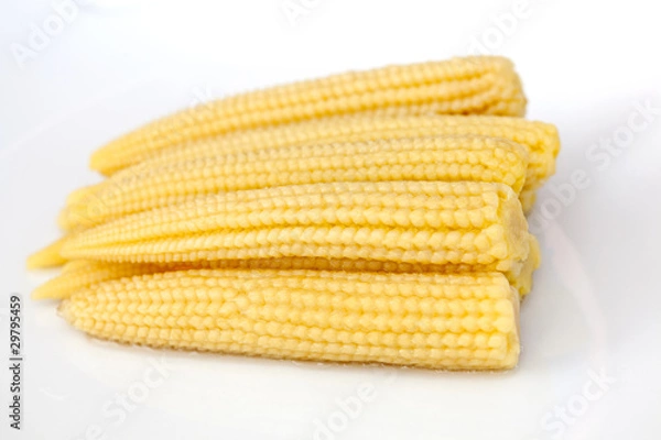 Obraz Young small corn