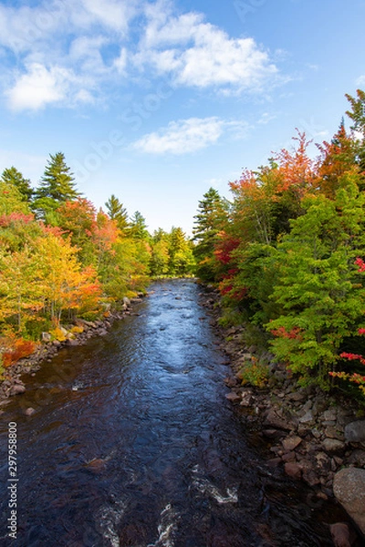 Obraz Fall Foliage 2