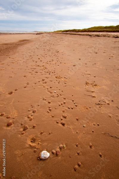 Obraz Red Sandy Beach