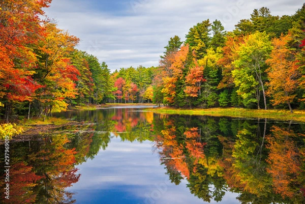 Obraz Kolorowe refleksy drzew liściastych w spokojnej wodzie stawu w piękny jesienny dzień w Nowej Anglii