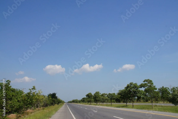 Obraz roadside trees see the blue sky, white clouds