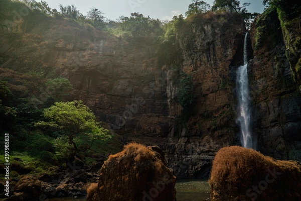 Obraz Waterfall and Trees