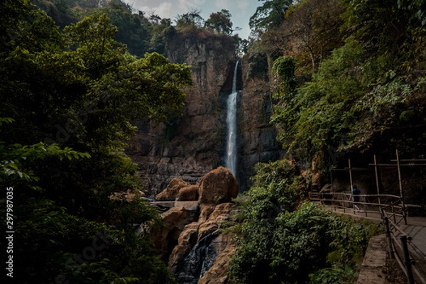 Obraz Waterfall and Trees