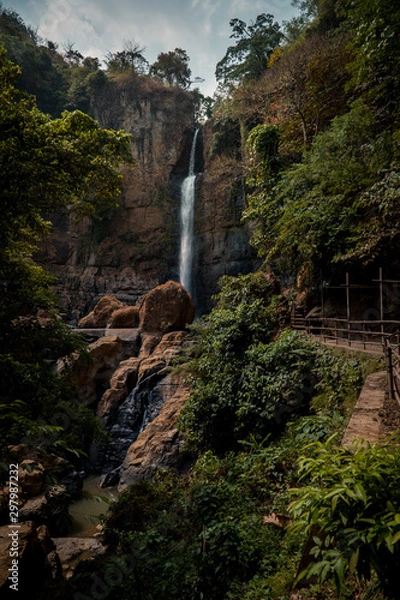 Obraz Waterfall and Trees