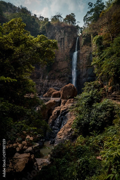 Obraz Waterfall and Trees