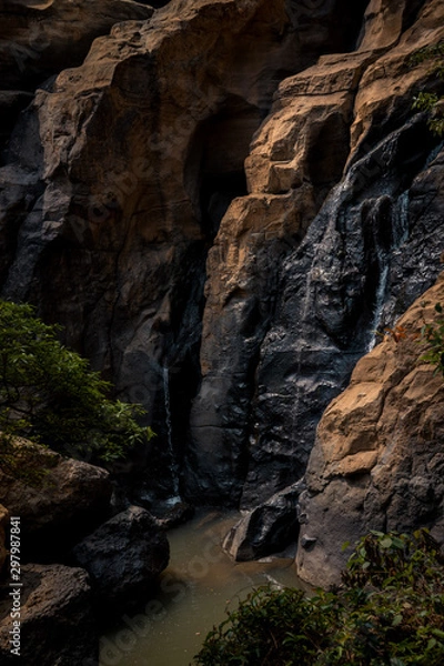 Obraz Waterfall and Trees