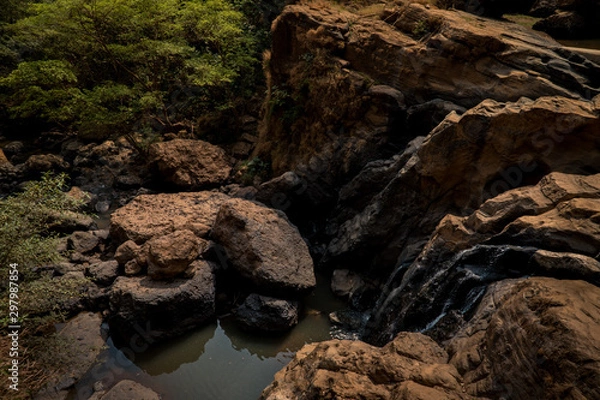 Obraz Waterfall and Trees