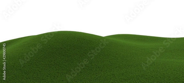 Obraz Green grassy hill