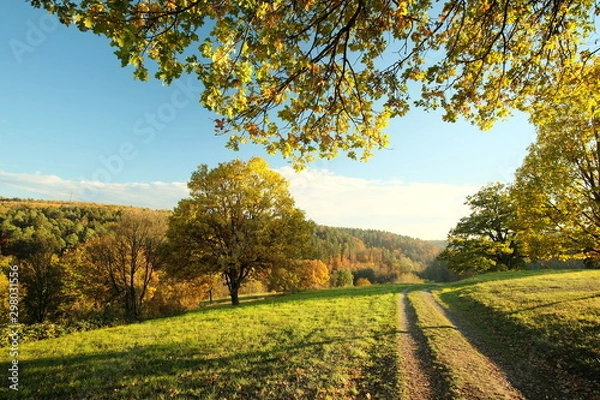 Fototapeta Herbstweg