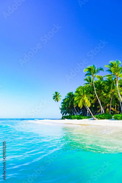 Obraz beautiful caribbean landscape with palm tree on the beach