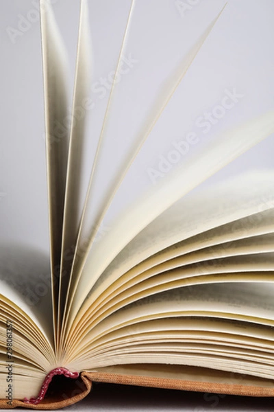 Fototapeta Closeup view of open book on light background