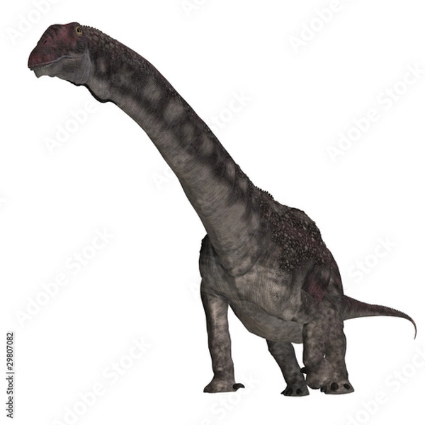 Fototapeta Dinosaur Diamantinasaurus. 3D rendering with clipping path and